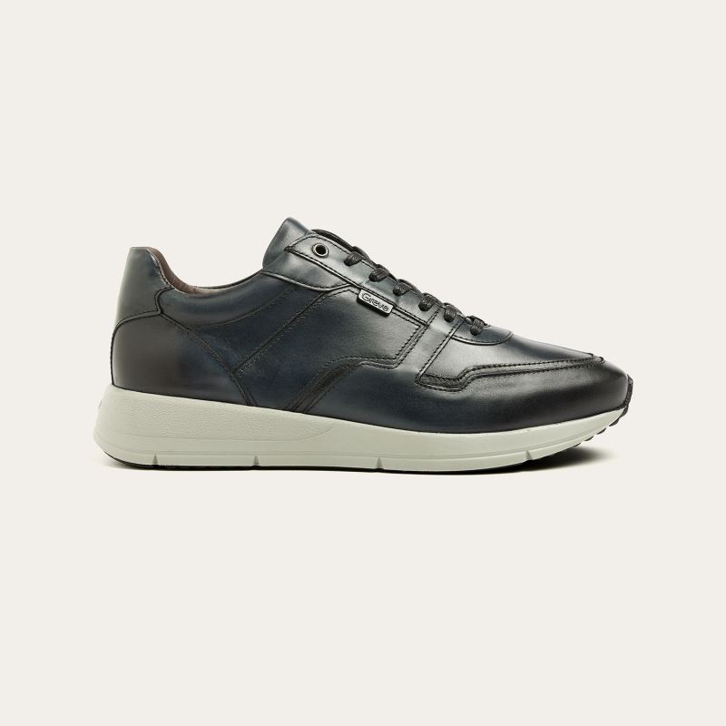 Greve Sneaker Walker Oceano Corsaro Calf