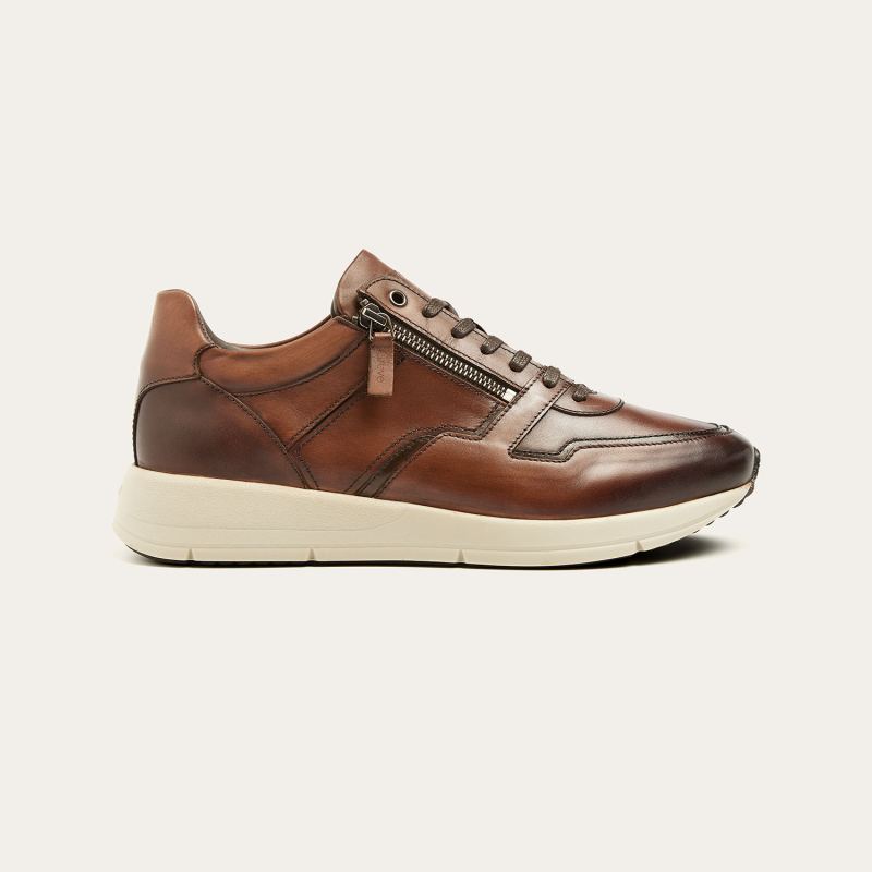 Greve Sneaker Walker Mogano Corsaro Calf