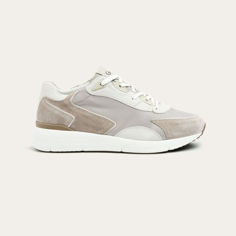 Greve Sneaker Walker Roccia Suede