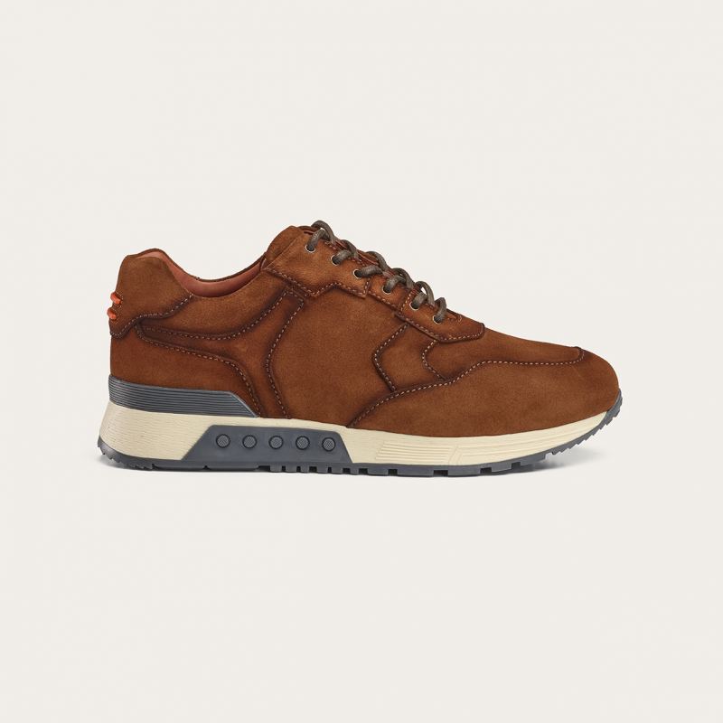 Greve Sneaker Haarlem Brulee Shade 