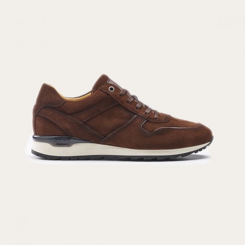 Greve Sneaker Fury Chocolate Merino